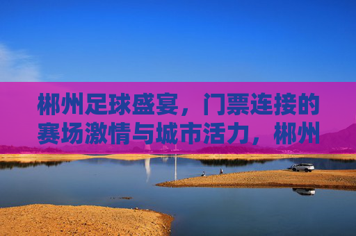 郴州足球盛宴，门票连接的赛场激情与城市活力，郴州足球盛宴，门票连接的赛场激情与城市活力