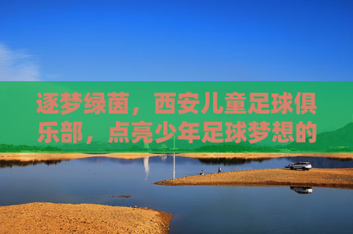 逐梦绿茵，西安儿童足球俱乐部，点亮少年足球梦想的灯塔，逐梦绿茵，西安儿童足球俱乐部，点亮少年足球梦想的灯塔