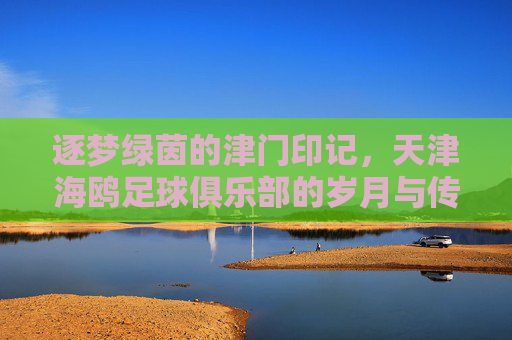 逐梦绿茵的津门印记，天津海鸥足球俱乐部的岁月与传承