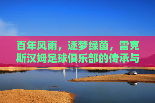 百年风雨，逐梦绿茵，雷克斯汉姆足球俱乐部的传承与辉煌，百年风雨，逐梦绿茵，雷克斯汉姆足球俱乐部的传承与辉煌