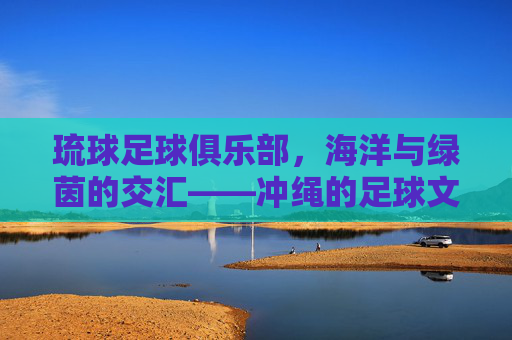 琉球足球俱乐部，海洋与绿茵的交汇——冲绳的足球文化图景，琉球足球俱乐部，海洋与绿茵的交汇——冲绳的足球文化图景