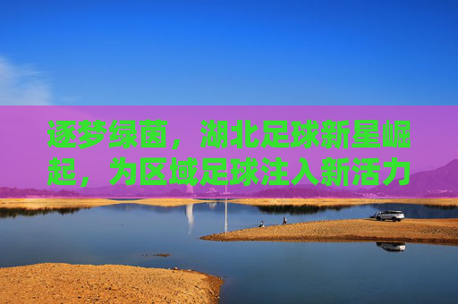 逐梦绿茵，湖北足球新星崛起，为区域足球注入新活力，逐梦绿茵，湖北足球新星崛起，为区域足球注入新活力