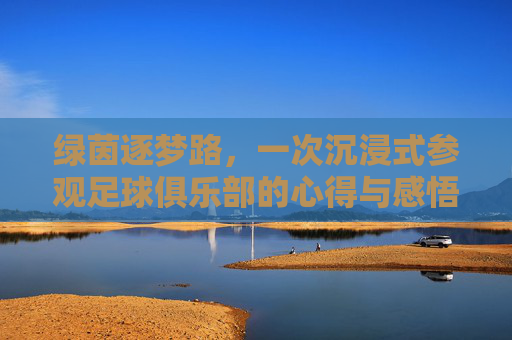 绿茵逐梦路,一次沉浸式参观足球俱乐部的心得与感悟,绿茵逐梦路,沉浸式参观足球俱乐部的心得与感悟