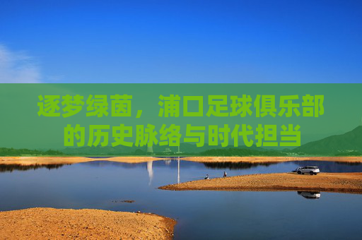 逐梦绿茵,浦口足球俱乐部的历史脉络与时代担当