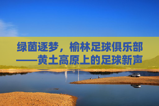 绿茵逐梦,榆林足球俱乐部——黄土高原上的足球新声与希望