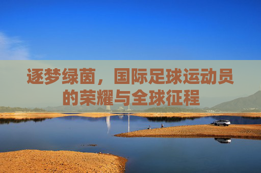 逐梦绿茵，国际足球运动员的荣耀与全球征程
