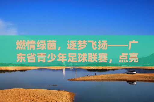 燃情绿茵,逐梦飞扬——广东省青少年足球联赛,点亮少年足球梦想,铸就未来足球之星