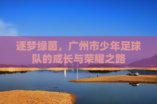 逐梦绿茵,广州市少年足球队的成长与荣耀之路