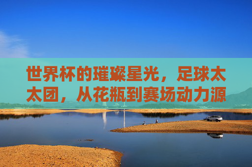 世界杯的璀璨星光,足球太太团,从花瓶到赛场动力源的华丽转身,世界杯太太团,从花瓶到赛场动力源的华丽蜕变