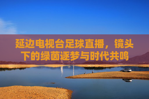 延边电视台足球直播,镜头下的绿茵逐梦与时代共鸣