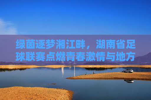 绿茵逐梦湘江畔，湖南省足球联赛点燃青春激情与地方足球活力