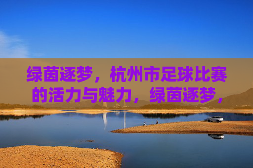 绿茵逐梦,杭州市足球比赛的活力与魅力,绿茵逐梦,杭州市足球比赛的活力与魅力