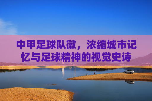 中甲足球队徽，浓缩城市记忆与足球精神的视觉史诗