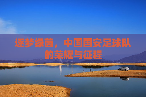 逐梦绿茵,中国国安足球队的荣耀与征程