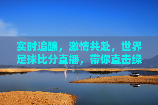 实时追踪，激情共赴，世界足球比分直播，带你直击绿茵风云