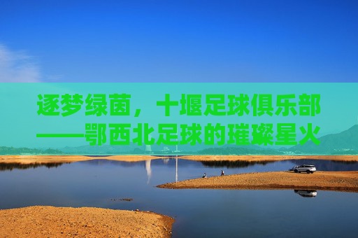 逐梦绿茵，十堰足球俱乐部——鄂西北足球的璀璨星火与时代征程