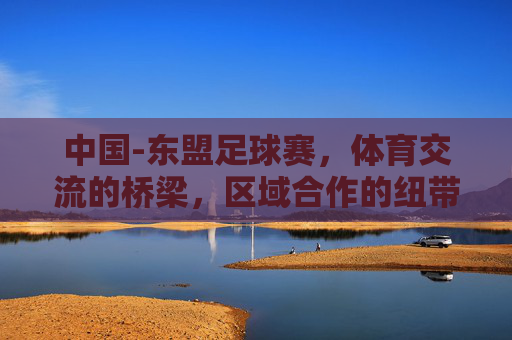 中国-东盟足球赛,体育交流的桥梁,区域合作的纽带