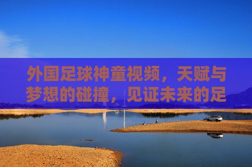 外国足球神童视频,天赋与梦想的碰撞,见证未来的足球之星