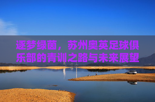 逐梦绿茵,苏州奥英足球俱乐部的青训之路与未来展望