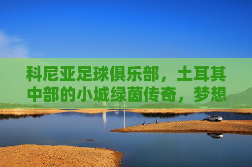 科尼亚足球俱乐部，土耳其中部的小城绿茵传奇，梦想与坚韧的足球印记，科尼亚足球俱乐部，土耳其中部小城的绿茵传奇与梦想坚韧印记