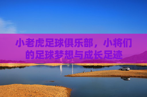 小老虎足球俱乐部,小将们的足球梦想与成长足迹