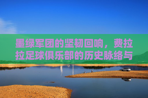 墨绿军团的坚韧回响,费拉拉足球俱乐部的历史脉络与当代征程