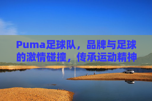Puma足球队，品牌与足球的激情碰撞，传承运动精神的不朽篇章