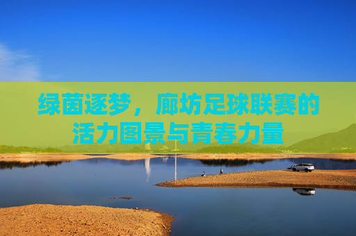 绿茵逐梦,廊坊足球联赛的活力图景与青春力量