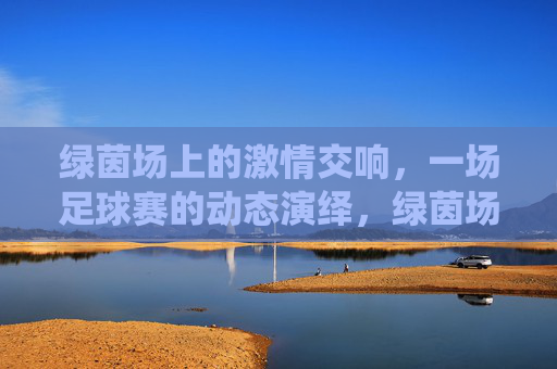 绿茵场上的激情交响，一场足球赛的动态演绎，绿茵场上的激情交响，一场足球赛的动态演绎