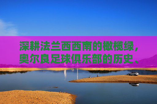 深耕法兰西西南的橄榄绿,奥尔良足球俱乐部的历史、发展与区域足球的活力绽放