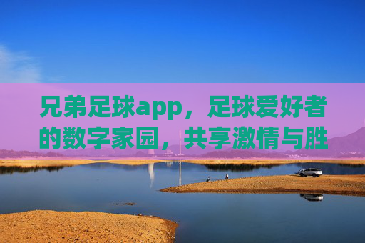 兄弟足球app，足球爱好者的数字家园，共享激情与胜利的兄弟情谊