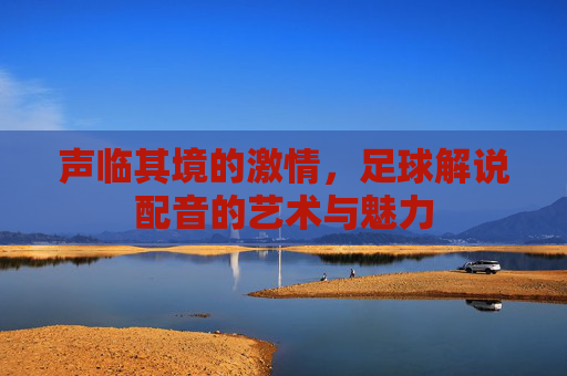 声临其境的激情,足球解说配音的艺术与魅力