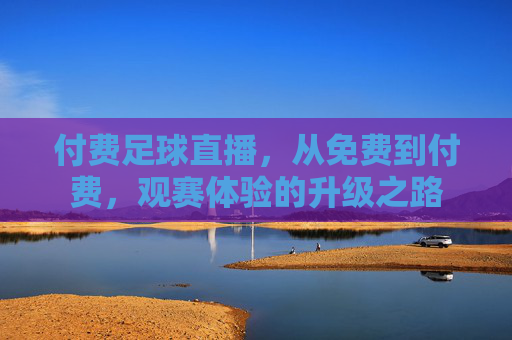 付费足球直播,从免费到付费,观赛体验的升级之路