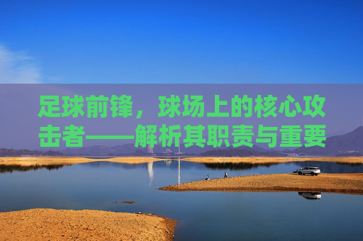 足球前锋,球场上的核心攻击者——解析其职责与重要性