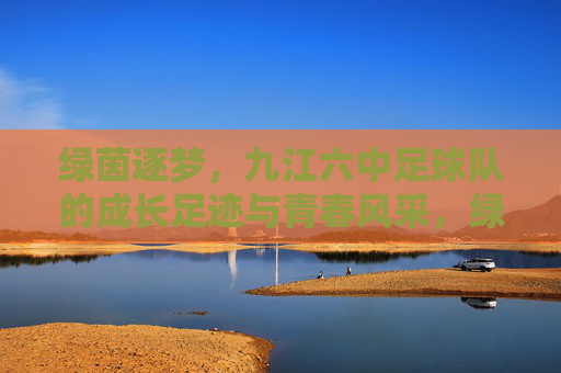 绿茵逐梦,九江六中足球队的成长足迹与青春风采,绿茵逐梦,九江六中足球队的成长足迹与青春风采