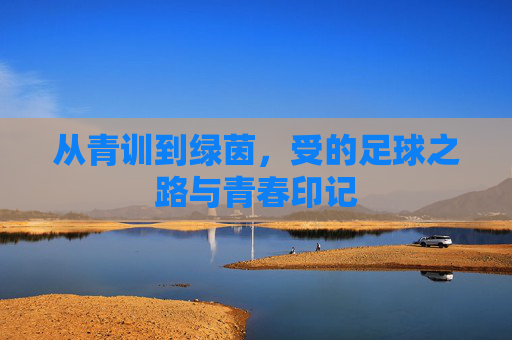 从青训到绿茵，受的足球之路与青春印记