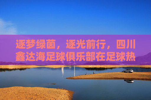 逐梦绿茵,逐光前行,四川鑫达海足球俱乐部在足球热土上的青春与担当,逐梦绿茵,逐光前行,四川鑫达海足球俱乐部在足球热土上的青春与担当