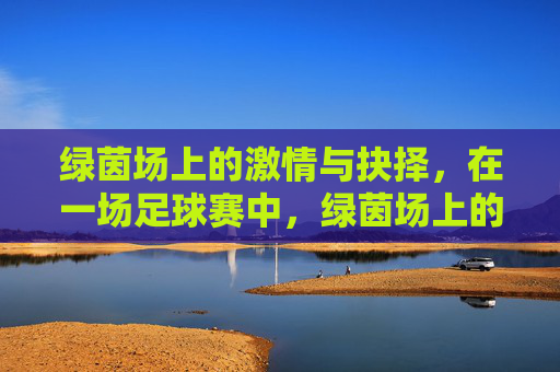 绿茵场上的激情与抉择，在一场足球赛中，绿茵场上的激情与抉择，一场足球赛中的抉择瞬间