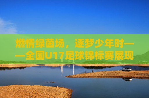 燃情绿茵场,逐梦少年时——全国U17足球锦标赛展现青春足球的无限活力与未来希望