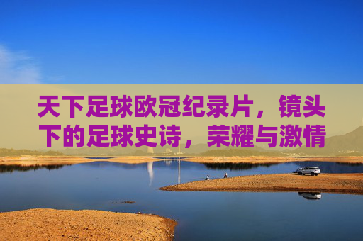 天下足球欧冠纪录片，镜头下的足球史诗，荣耀与激情的永恒回响，天下足球欧冠纪录片，镜头下的足球史诗，荣耀与激情的永恒回响