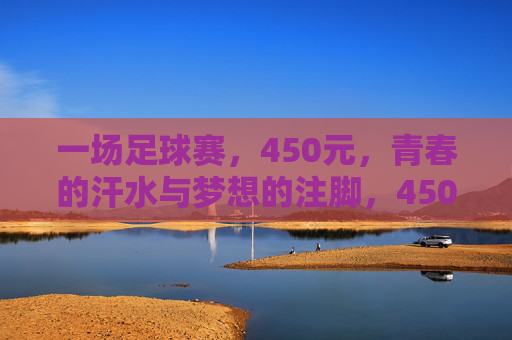 一场足球赛，450元，青春的汗水与梦想的注脚，450元足球赛，青春的汗水与梦想注脚