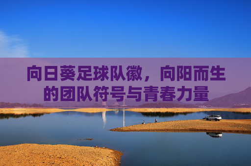 向日葵足球队徽，向阳而生的团队符号与青春力量