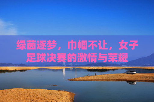 绿茵逐梦,巾帼不让,女子足球决赛的激情与荣耀