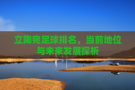 立陶宛足球排名，当前地位与未来发展探析