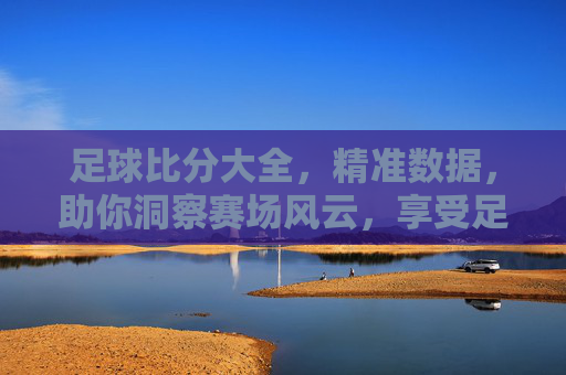足球比分大全，精准数据，助你洞察赛场风云，享受足球魅力