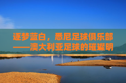 逐梦蓝白,悉尼足球俱乐部——澳大利亚足球的璀璨明珠与城市精神的缩影