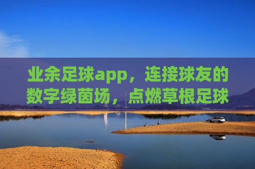 业余足球app,连接球友的数字绿茵场,点燃草根足球的激情与活力
