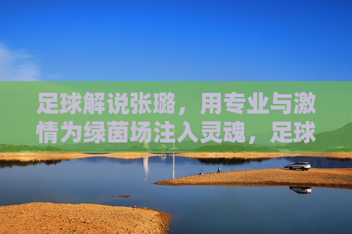 足球解说张璐，用专业与激情为绿茵场注入灵魂，足球解说张璐，以专业与激情为绿茵场注入灵魂
