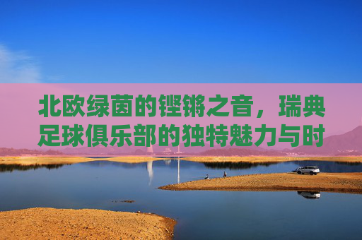 北欧绿茵的铿锵之音,瑞典足球俱乐部的独特魅力与时代印记,北欧绿茵的铿锵之音,瑞典足球俱乐部的独特魅力与时代印记