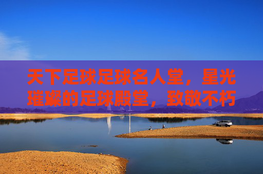 天下足球足球名人堂，星光璀璨的足球殿堂，致敬不朽的绿茵传奇，天下足球足球名人堂，星光璀璨的绿茵殿堂，致敬不朽传奇